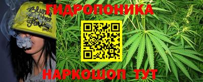 ГАЛЛЮЦИНОГЕННЫЕ ГРИБЫ Гусь-Хрустальный