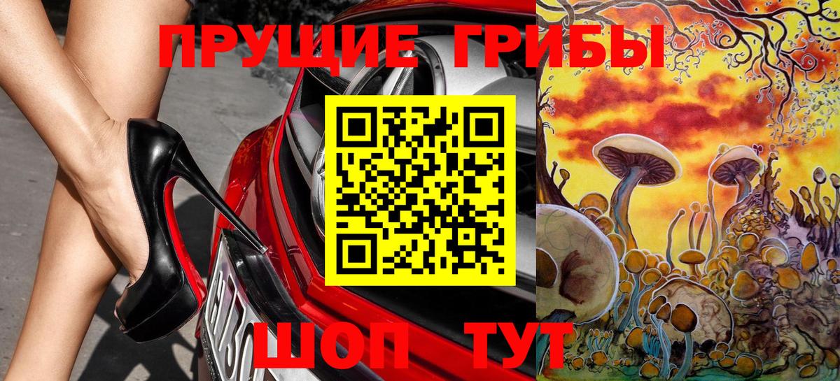 Пенза  Псилоцибиновые грибы GOLDEN TEACHER  Вход с VPN 