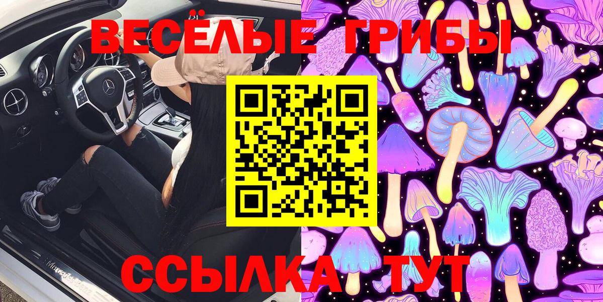 Псилоцибиновые грибы мухоморы Пенза